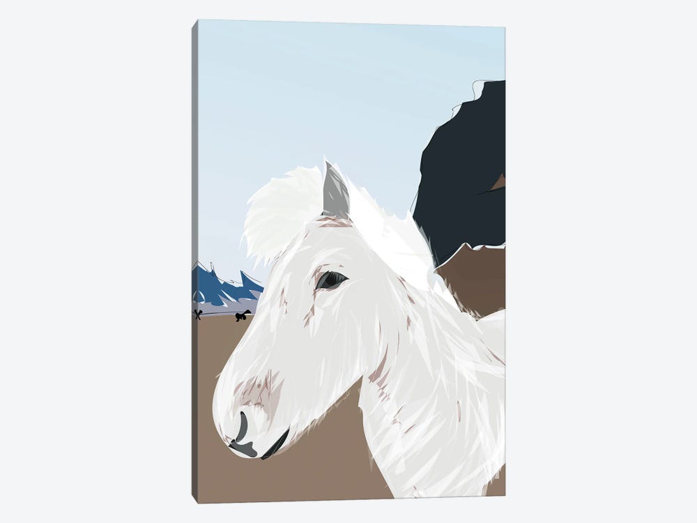 Icelandic Horse, Iceland by Lyman Creative Co. 1-piece Canvas Art Print