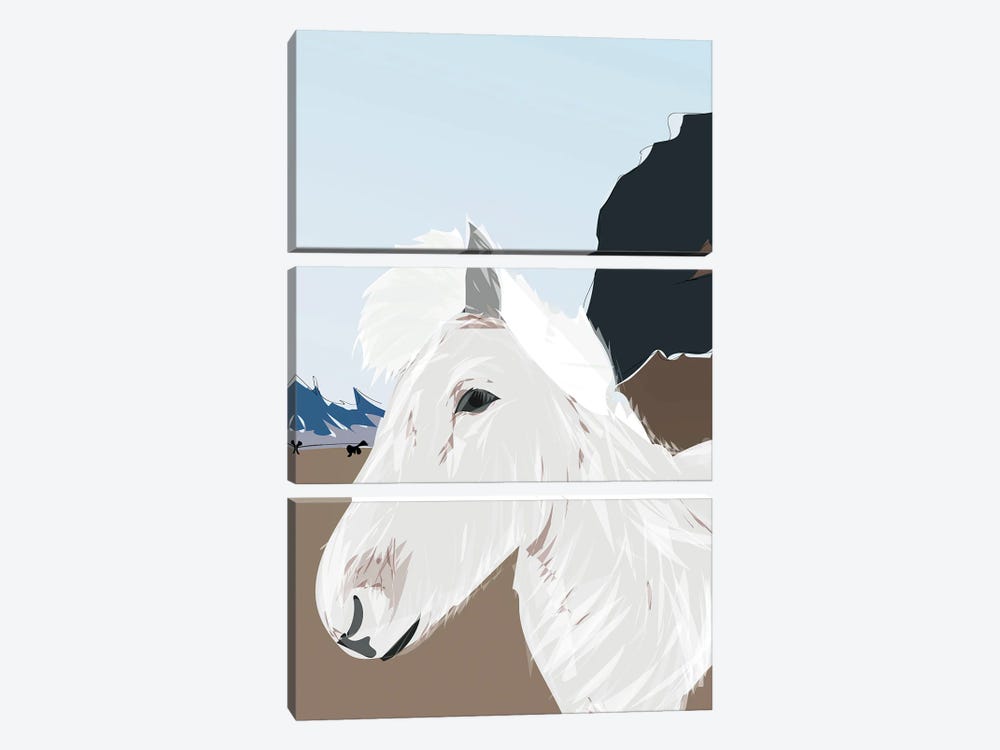 Icelandic Horse, Iceland by Lyman Creative Co. 3-piece Art Print