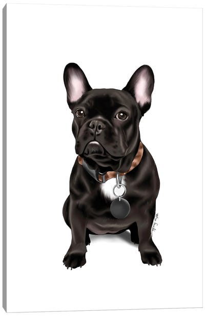 French Bull Dog Canvas Art Print - French Bulldog Art
