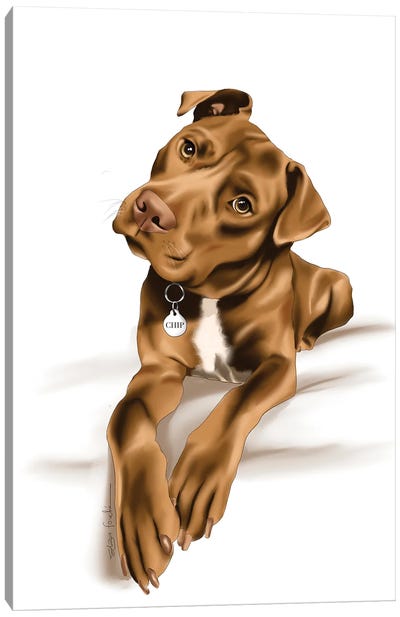 Staffy Canvas Art Print - Staffordshire Bull Terrier Art