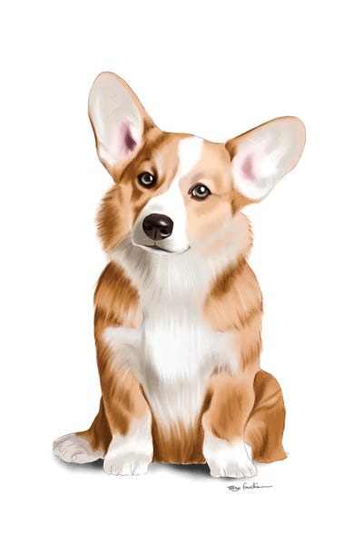 Corgis: Corgi by Elza Fouche