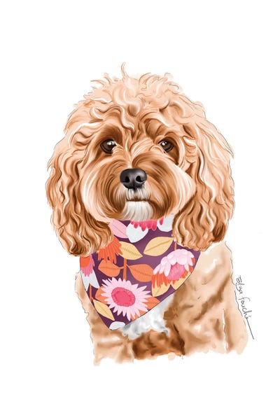 Spaniels: Cavoodle by Elza Fouche