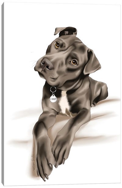 Staffy II Canvas Art Print - Staffordshire Bull Terrier Art