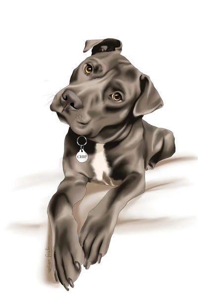 Fashion Illustrations: Staffy II by Elza Fouche