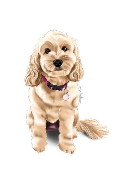 Spaniels: Spoodle by Elza Fouche