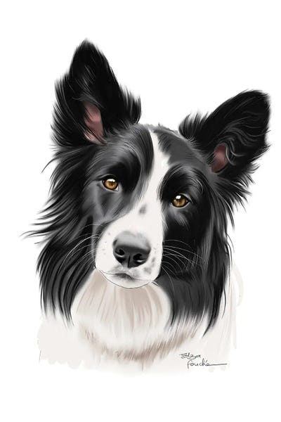Border Collies: Border Collie by Elza Fouche