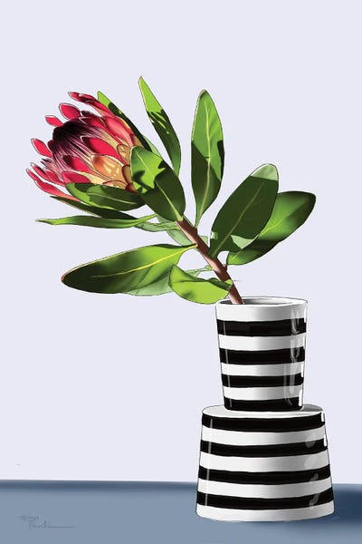Stripes: Protea by Elza Fouche