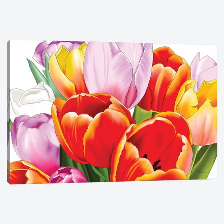Vibrant Tulips Canvas Print #ELZ309} by Elza Fouche Canvas Print