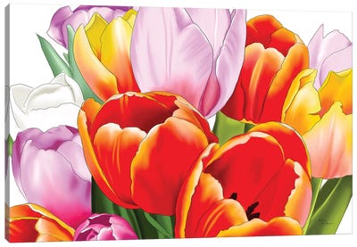 Vibrant Tulips Canvas Art Print - Elza Fouché