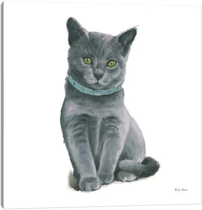 Cutie Kitties VI Canvas Art Print - British Shorthair Cat Art