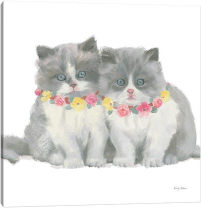Cutie Kitties VIII Canvas Art Print - Persian Cats