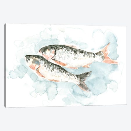 Pisces Pair I Canvas Print #EMC101} by Emma Caroline Canvas Wall Art