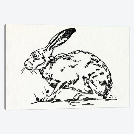 Resting Hare I Canvas Print #EMC109} by Emma Caroline Canvas Art