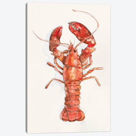 Salty Lobster II Canvas Print #EMC111} by Emma Caroline Canvas Print