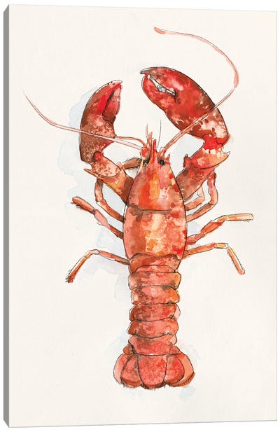 Salty Lobster II Canvas Art Print - Authentic Eclectic