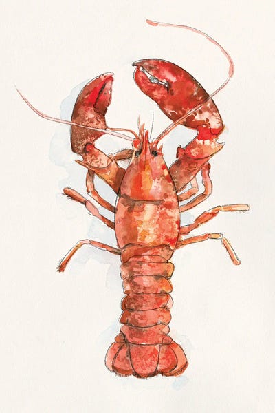Lobsters: Salty Lobster II by Emma Caroline