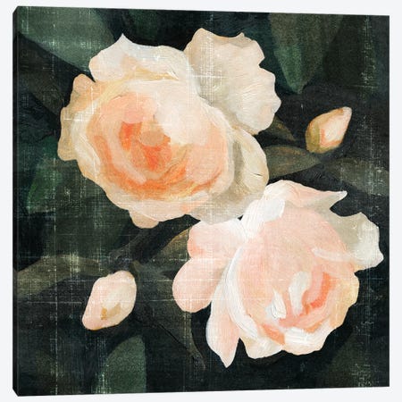 Soft Garden Roses I Canvas Print #EMC11} by Emma Caroline Canvas Artwork