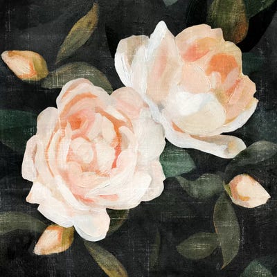 Soft Garden Roses II by Emma Caroline art print