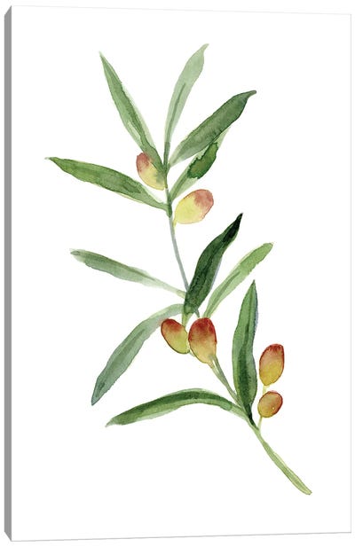 Sweet Olive Branch I Canvas Art Print - Vegetable Art