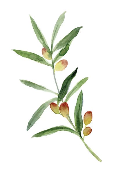 Emma Caroline: Sweet Olive Branch I by Emma Caroline