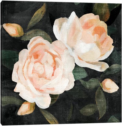 Soft Garden Roses II Canvas Art Print