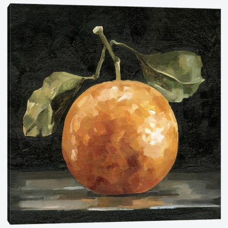 Dark Orange Deux I Canvas Print #EMC131} by Emma Caroline Canvas Print