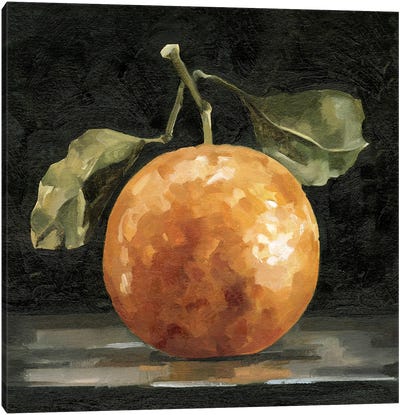 Dark Orange Deux I Canvas Art Print - Orange Art