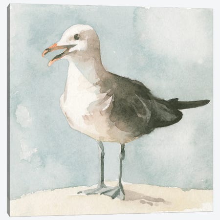 Simple Seagull II Canvas Print #EMC156} by Emma Caroline Canvas Art
