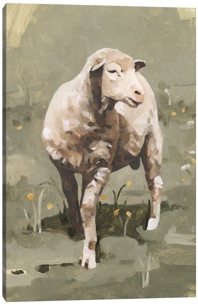 Spring Sheep I Canvas Art Print