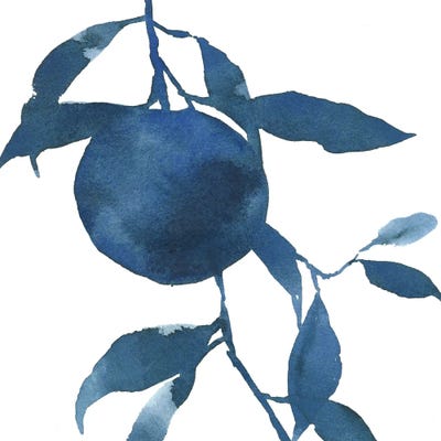 Indigo Oranges II by Emma Caroline art print