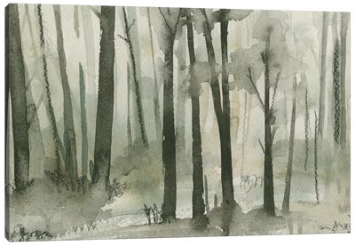 Into The Woods I Canvas Art Print