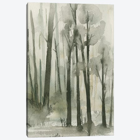 Into The Woods III Canvas Print #EMC171} by Emma Caroline Canvas Art Print