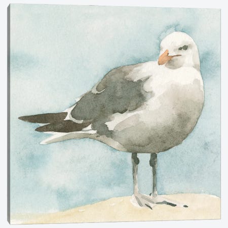 Simple Seagull I Canvas Print #EMC184} by Emma Caroline Canvas Art Print