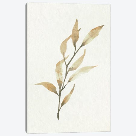 Soft Autumn Branch I Canvas Print #EMC185} by Emma Caroline Art Print
