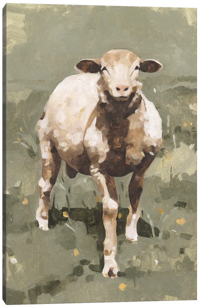 Spring Sheep II Canvas Art Print