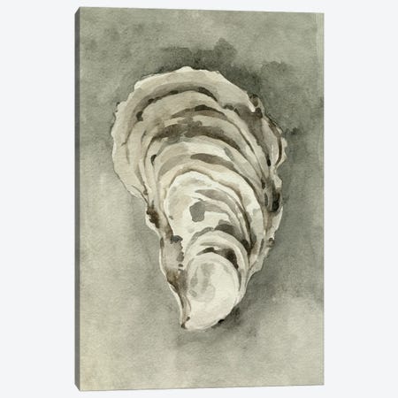 Neutral Oyster Shell II Canvas Print #EMC196} by Emma Caroline Canvas Art