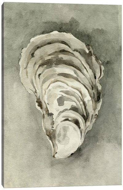 Neutral Oyster Shell II Canvas Art Print - Oyster Art