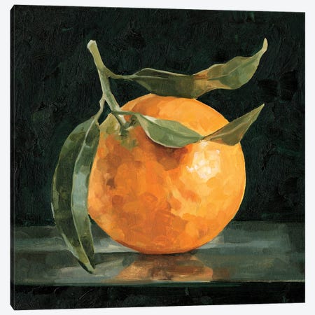 Dark Orange Still Life I Canvas Print #EMC21} by Emma Caroline Art Print