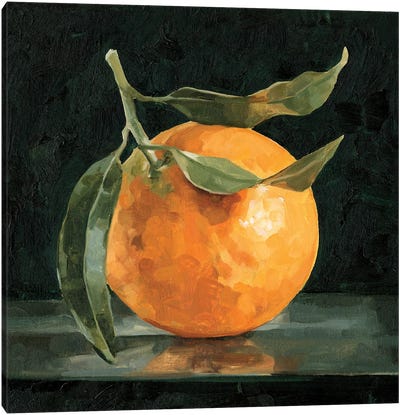 Dark Orange Still Life I Canvas Art Print - Orange Art