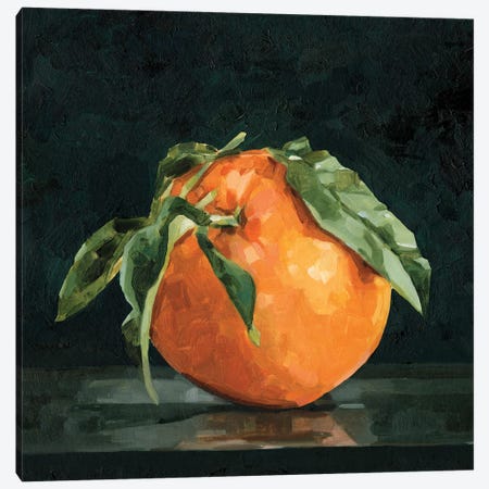 Dark Orange Still Life II Canvas Print #EMC22} by Emma Caroline Art Print
