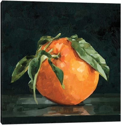 Dark Orange Still Life II Canvas Art Print - Orange Art