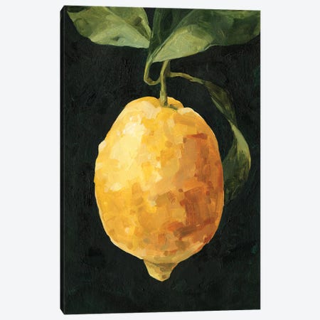 Dark Lemon I Canvas Print #EMC53} by Emma Caroline Canvas Wall Art
