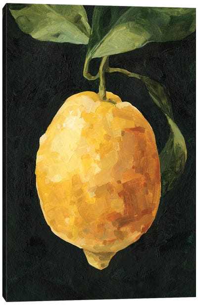 Dark Lemon I Canvas Art Print - Lemon & Lime Art
