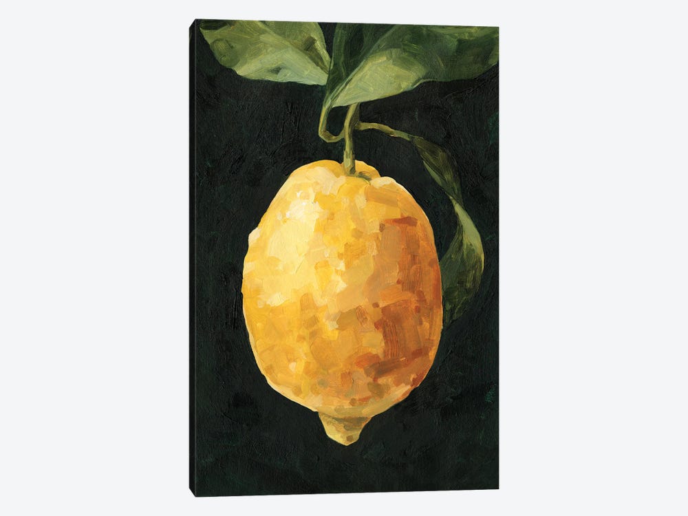 Dark Lemon I by Emma Caroline 1-piece Canvas Print