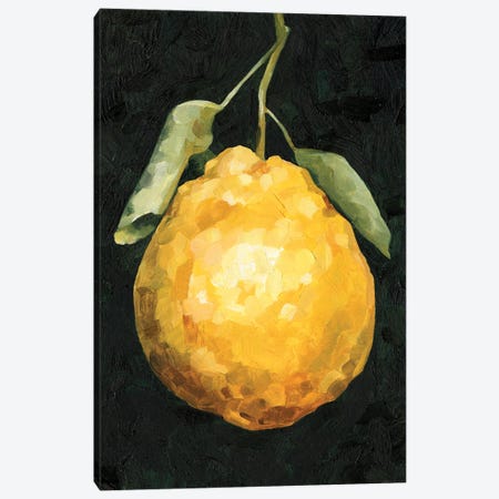 Dark Lemon II Canvas Print #EMC54} by Emma Caroline Art Print