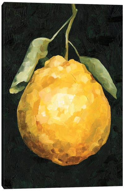 Dark Lemon II Canvas Art Print - Lemon & Lime Art