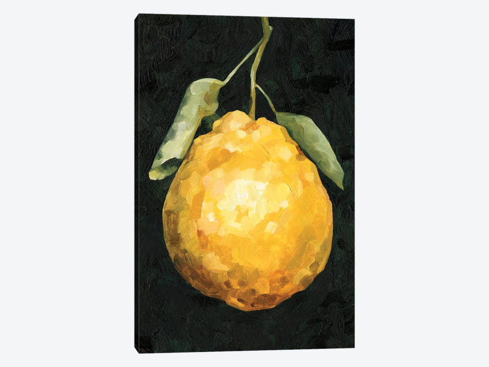 Dark Lemon II by Emma Caroline 1-piece Canvas Art