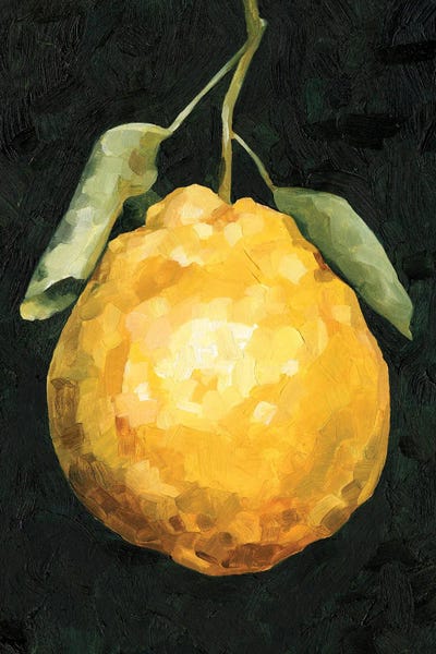 Emma Caroline: Dark Lemon II by Emma Caroline