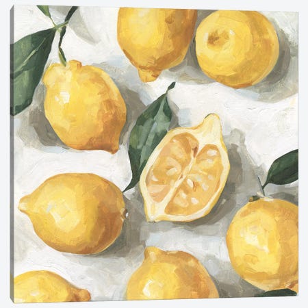 Fresh Lemons I Canvas Print #EMC57} by Emma Caroline Canvas Art Print