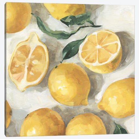 Fresh Lemons II Canvas Print #EMC58} by Emma Caroline Canvas Artwork